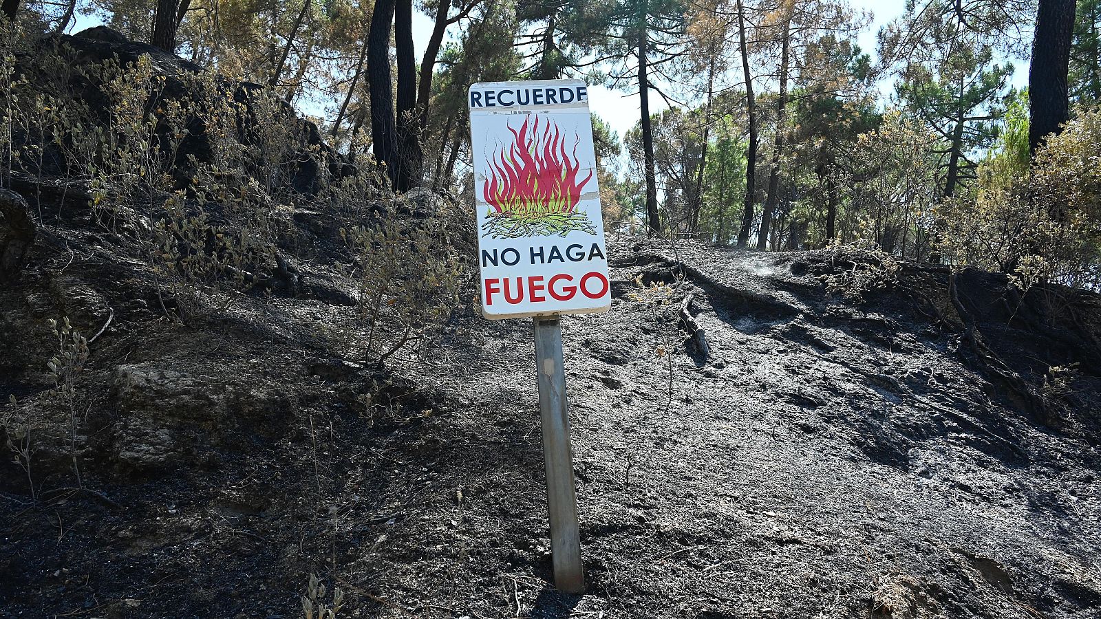 Controlado el incendio de la sierra de Madrid tras arrasar con 27.000 hectáreas