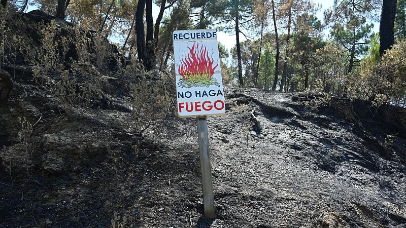 Controlado el incendio de la sierra de Madrid tras arrasar con 27.000 hectáreas