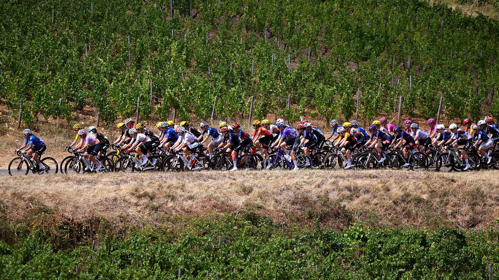 Tour de Francia 2026 | Resumen de la etapa 5