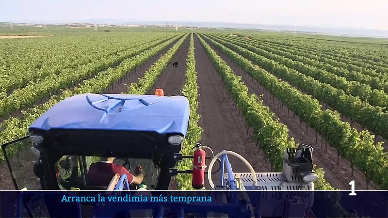 Informativo Telerioja - 06/08/26 | Ver