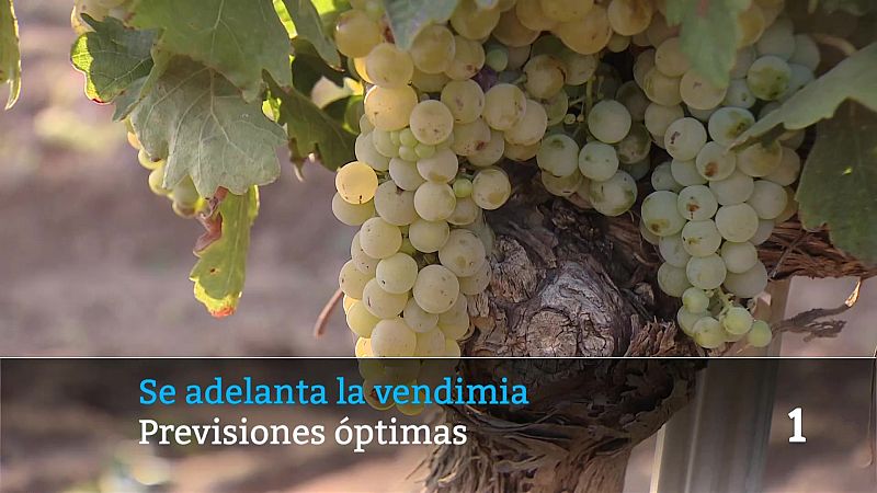 Telerioja en 2' - 06/08/26 | Ver
