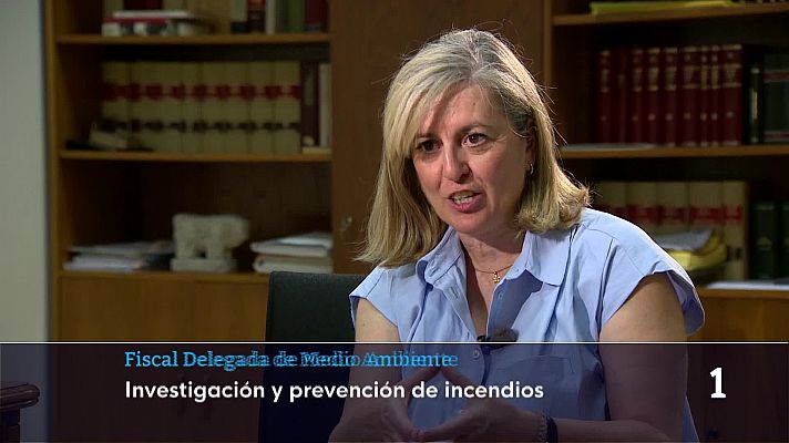 Noticias de Castilla y León - Noticias Castilla y León