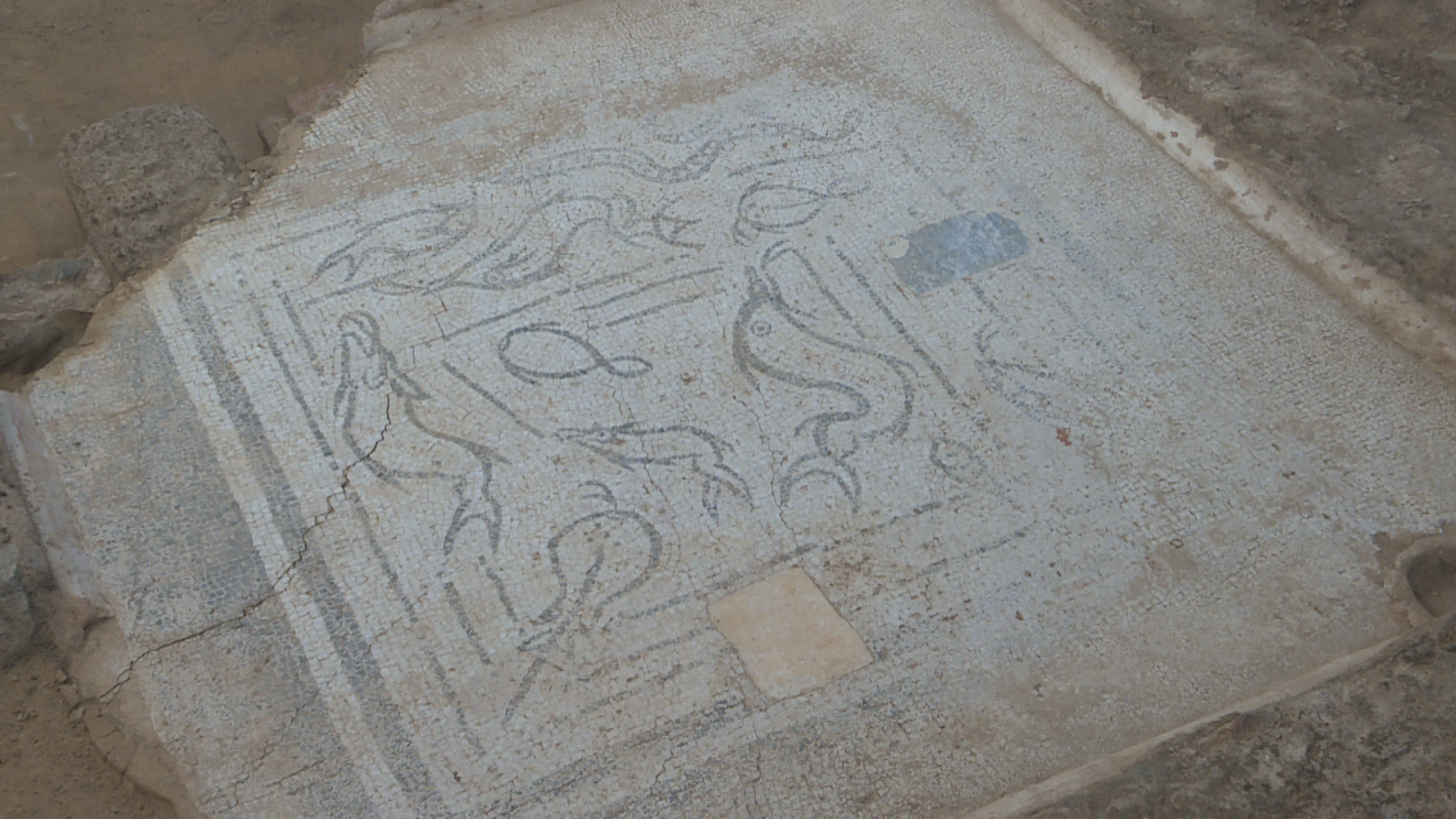 Un mosaico con peces se añade al patrimonio de Mérida - Noticias de Extremadura | Ver