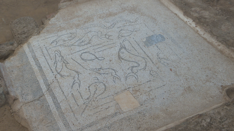 Un mosaico con peces se añade al patrimonio de Mérida - Noticias de Extremadura | Ver