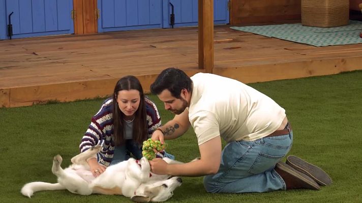 Dog House - Soraya y Pablo: Morir de amor perruno no está tan mal