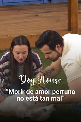 Dog House - Soraya y Pablo: Morir de amor perruno no está tan mal