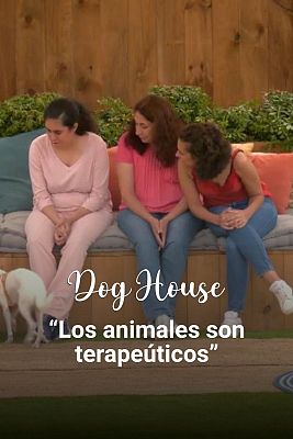 Dog House - Judith, Tania y Loli: Los animales son terapéuticos