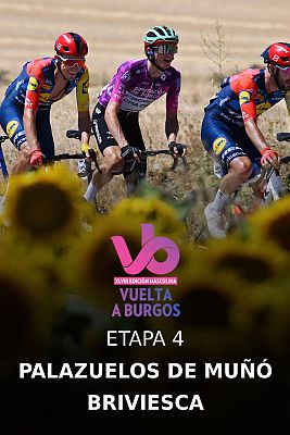 Ciclismo - Vuelta a Burgos Masculina. 4ª etapa: Palazuelos de Muñó - Briviesca
