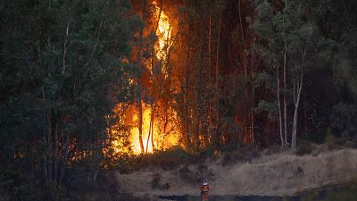 El incendio de Niebla, en Huelva ha quemado ya unas 4.000 hectáreas