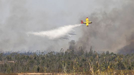 El incendio de Niebla, en Huelva, deja ya m�s de 8.000 hect�reas afectadas y cerca de 500 desalojados