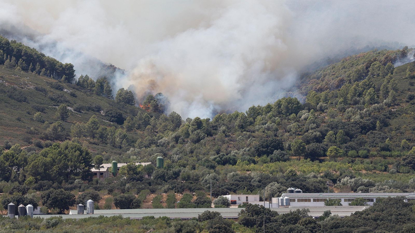 El viento complica el incendio de Tírig, en Castellón - Telediario Fin de Semana | Ver