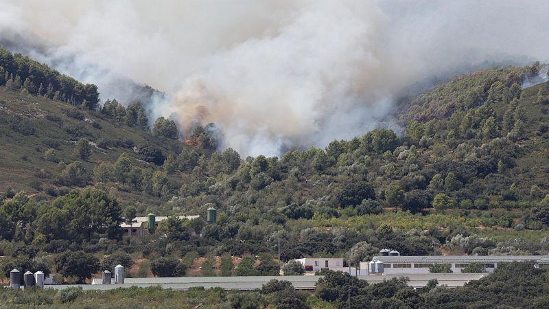 El viento complica el incendio de Tírig, en Castellón - Telediario Fin de Semana | Ver