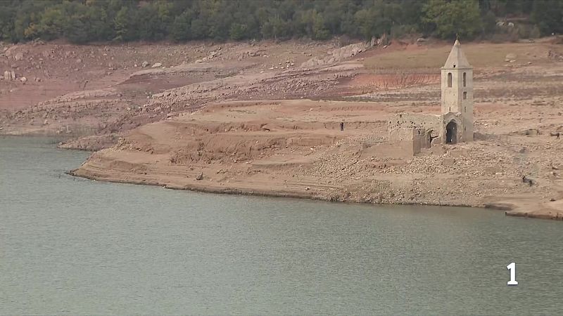 Els boscos, secs per la sequera de fa dos anys