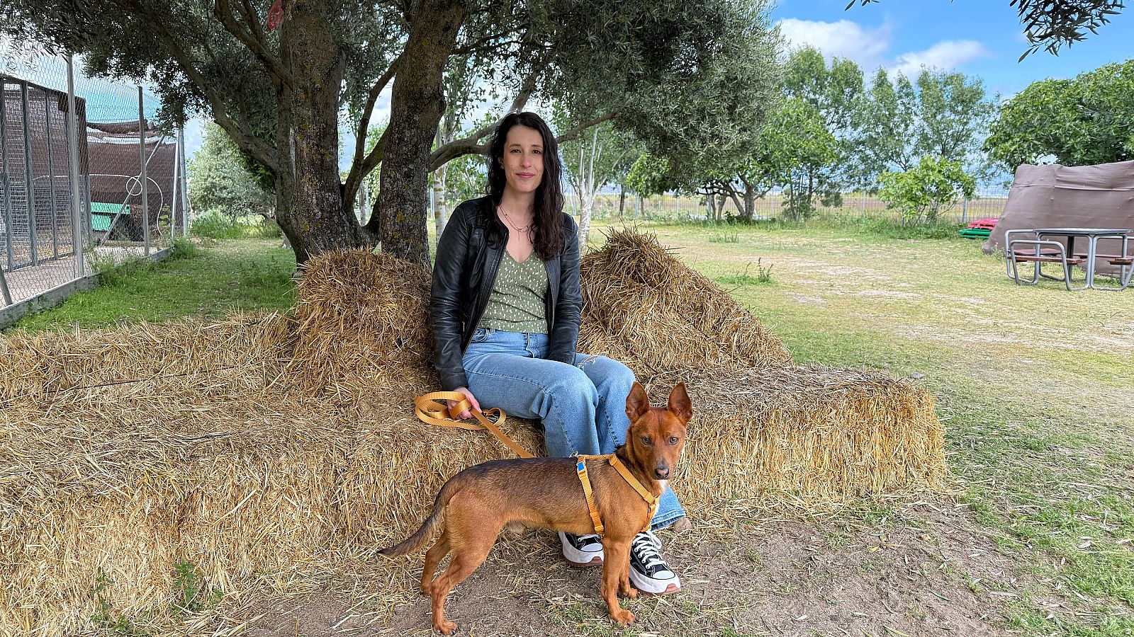 Cristina impresiona al staff: "No tengo miedo a nada" - Dog House | Ver