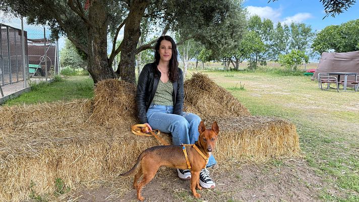 Dog House - Cristina: Vivir sin miedo