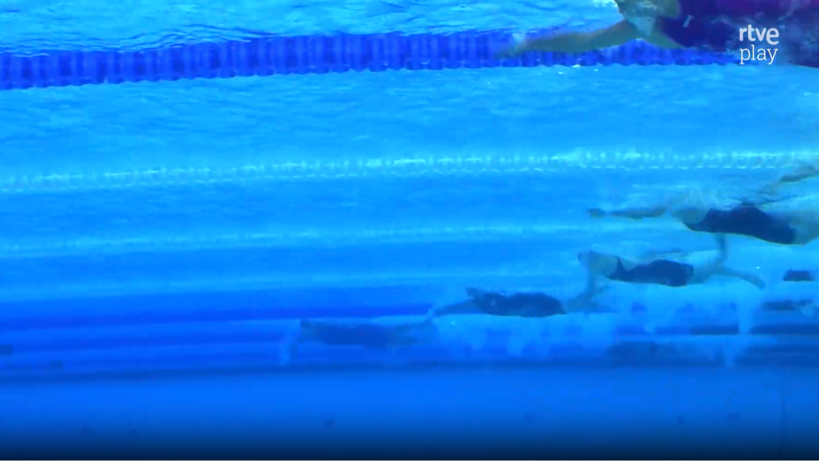 Natación - Campeonato de Europa de Deportes Acuáticos. Sesión vespertina - Natación | Ver