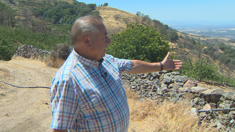 Los agricultores afectados por el incendio de Jarilla siguen recuperando sus terrenos - Ver ahora