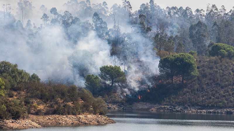 El incendio de Niebla, en Huelva, ha quemado ya más de 28.000 hectáreas | Ver