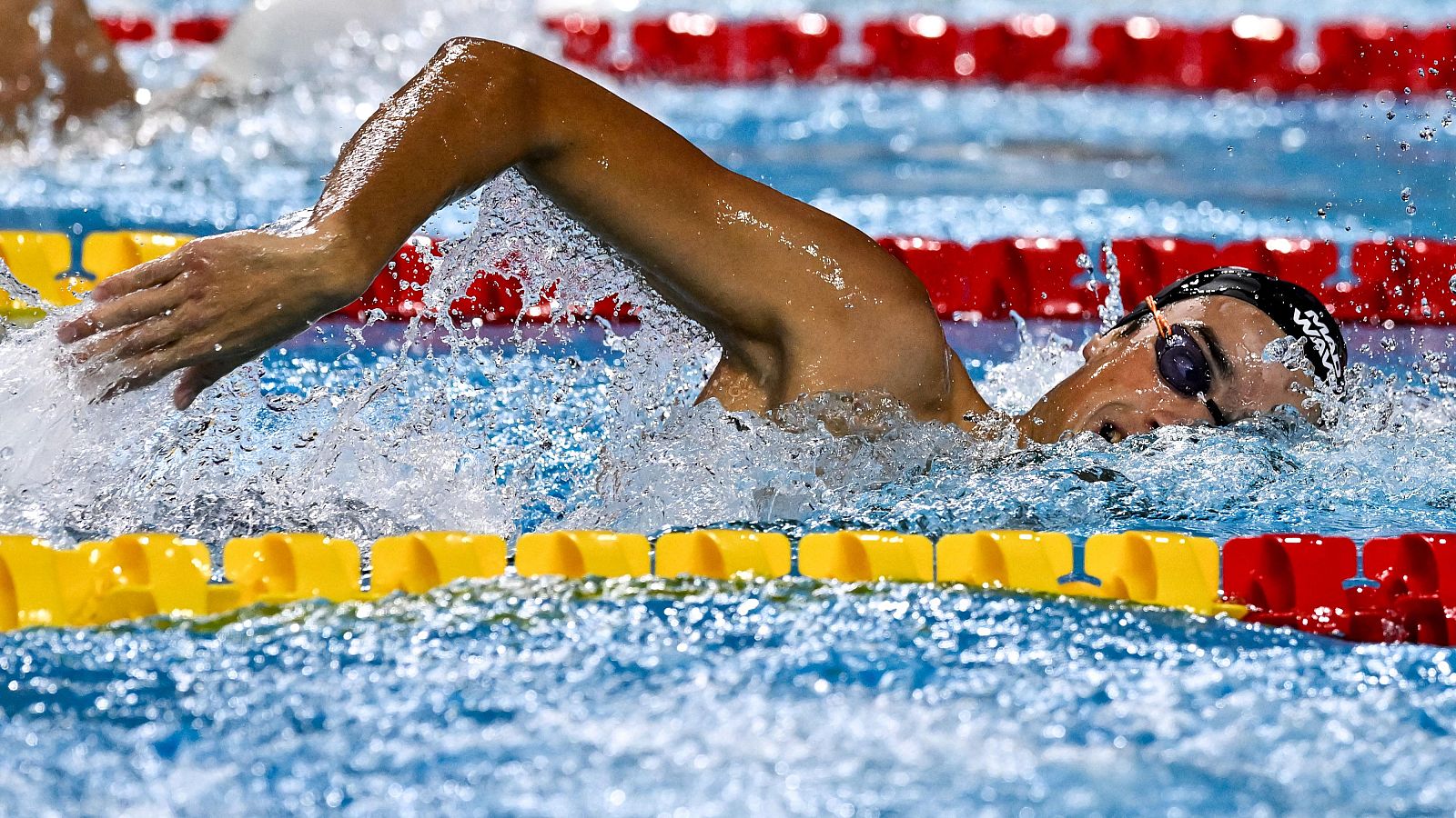 Resumen final 800m | Mejores momentos - Natación | Ver