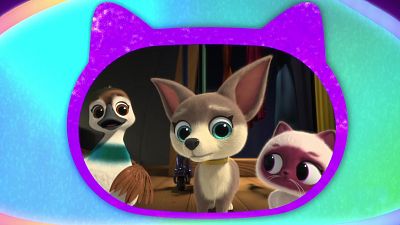Superkitties - El concursante liante - Superkitties | Ver