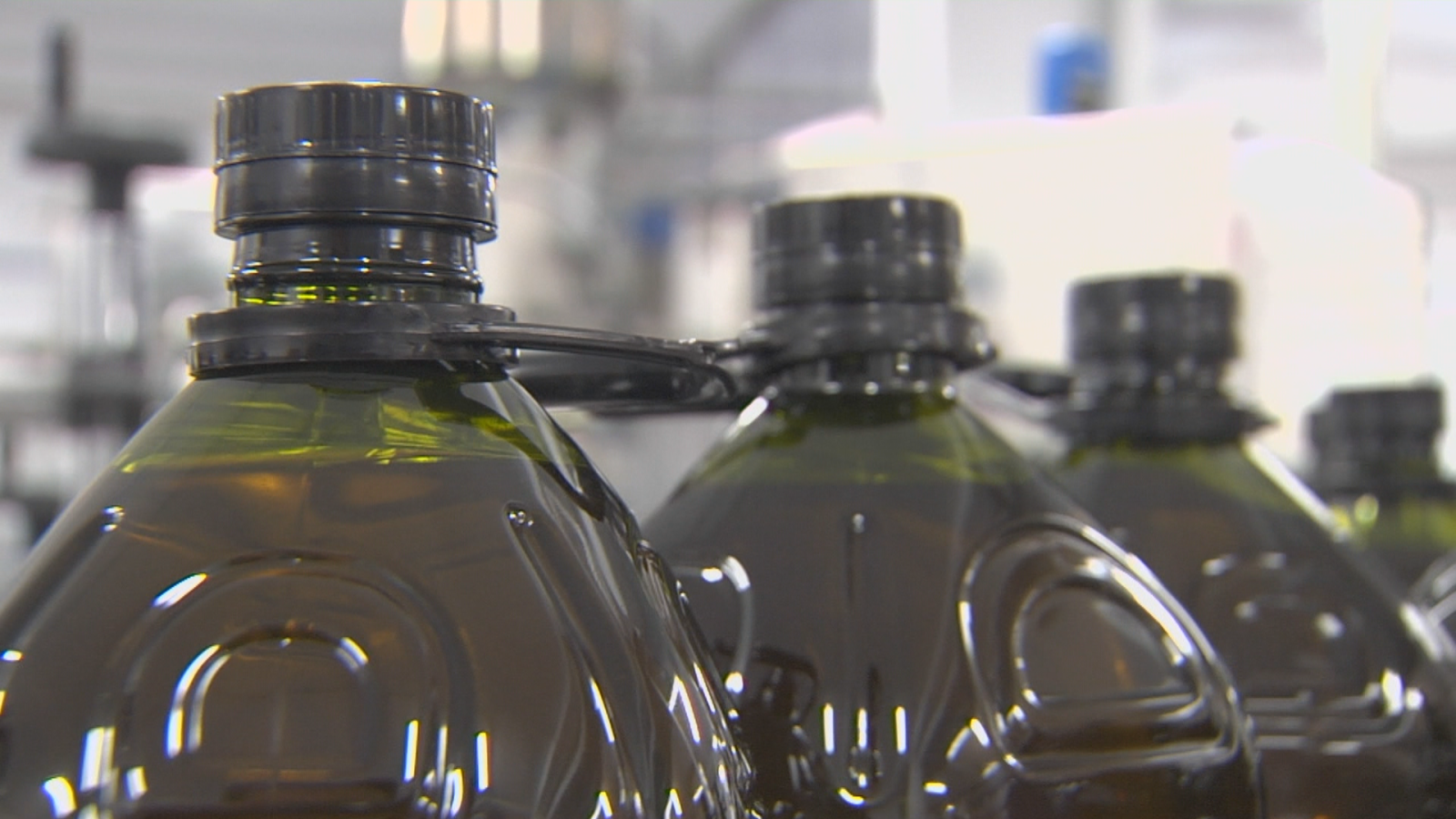 El aceite de oliva preocupa a Apag Extremadura –Asaja - Ver ahora