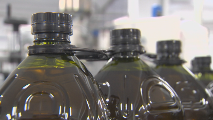 Noticias de Extremadura - El aceite de oliva preocupa a Apag Extremadura –Asaja