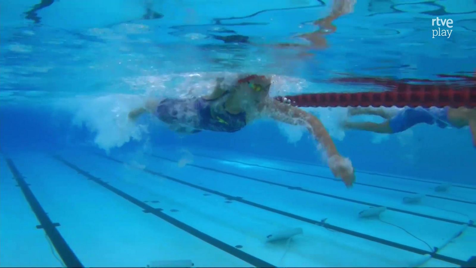 Natación - Campeonato de Europa de Deportes Acuáticos. Sesión vespertina - Natación | Ver