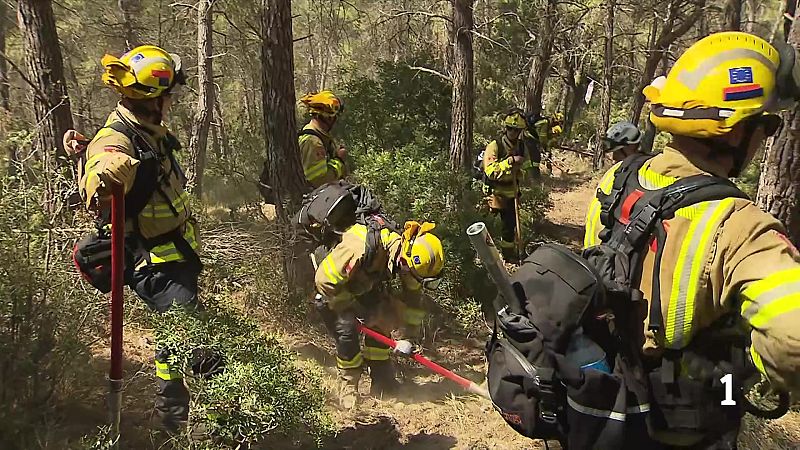 Bombers neerlandesos aprenen a Catalunya a lluitar contra els incendis forestals - L'Informatiu | Veure