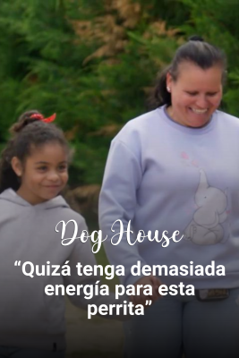 Dog House - Julieta, Rosa María y Rosa: Mucha energía y mucho amor