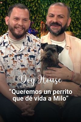 Dog House - Saul y Fran: Un hermanito para Milo