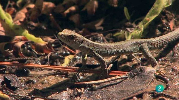 Biodiario - Biodiario - 13/03/13