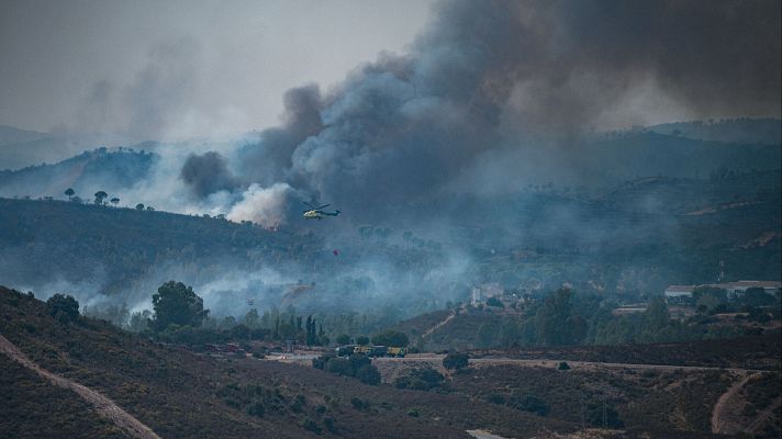Telediario 2 - Niebla: 38.000 hectáreas arrasadas en el incendio más grande de Andalucía