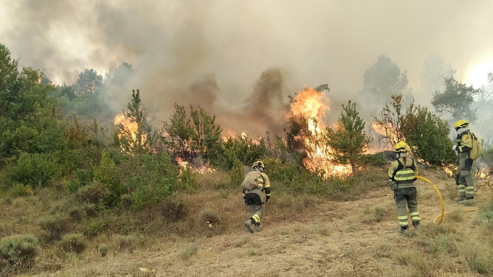 El viento complica la extinción del incendio de Huesca