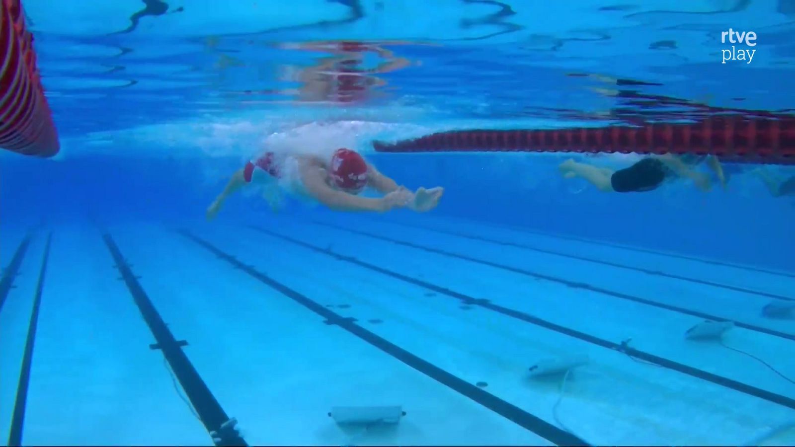 Natación - Campeonato de Europa de Deportes Acuáticos. Sesión vespertina - Natación | Ver