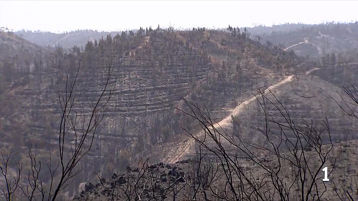 Telediario Fin de Semana - El incendio de Huelva se ha conseguido perimetrar; el de Huesca sigue en situación desfavorable