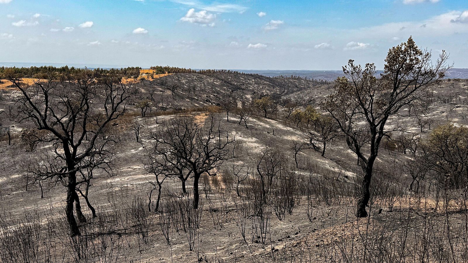 Incendios en Huelva y Huesca | Ver