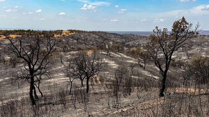 El incendio de Niebla (Huelva) queda estabilizado y todos los evacuados volver�n a sus hogares