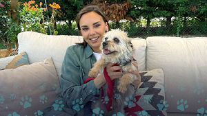 Una familia decide no continuar con la adopci�n en 'Dog House': "Pens� que se iba a morir y me iba a morir yo"