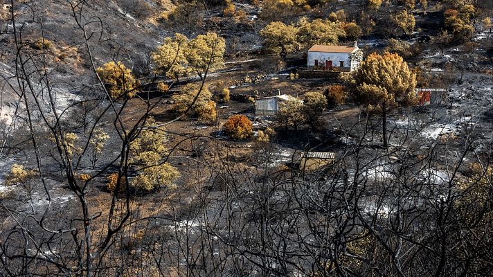 Telediario 1 - El Ayuntamiento de Berrocal solicitará la declaración de zona catastrófica tras el incendio de Niebla, Huelva