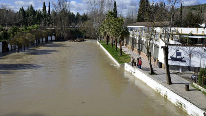 Telediario 1 - El temporal deja un muerto en Granada por la crecida de un río