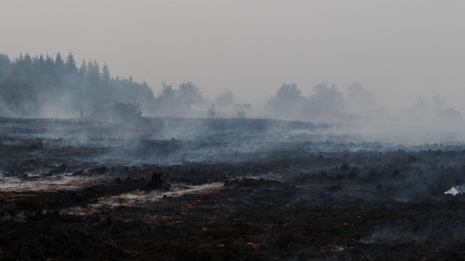 Bélgica, ante el peor incendio de su historia - La tarde en 24h | Ver