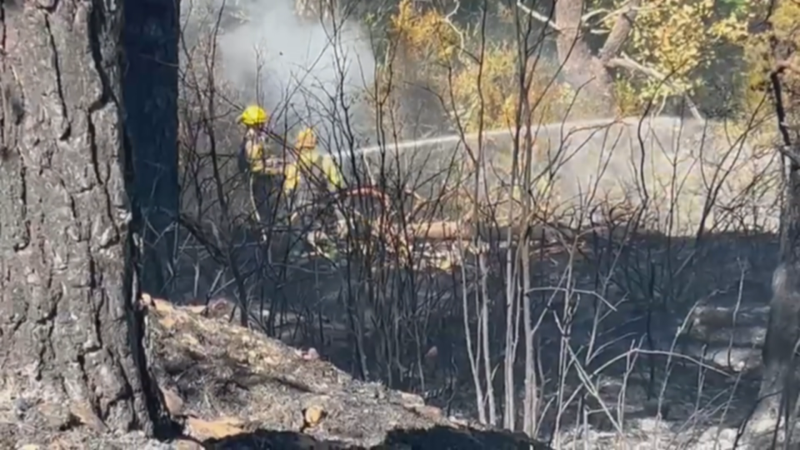 Bomberos combaten un incendio forestal con agua, rodeados de ceniza y vegetación quemada. El humo es denso en la zona de extinción.