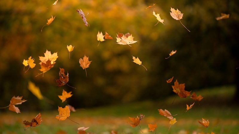 Otoño en agosto en Asturias - Panorama Regional | Ver