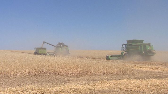 Noticias de Castilla y León - Los agricultores de Castilla y León volverán a manifestarse el 27 de agosto