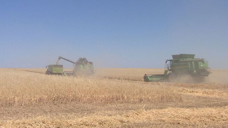 Los agricultores de Castilla y León volverán a manifestarse el 27 de agosto - Noticias de Castilla y León | Ver
