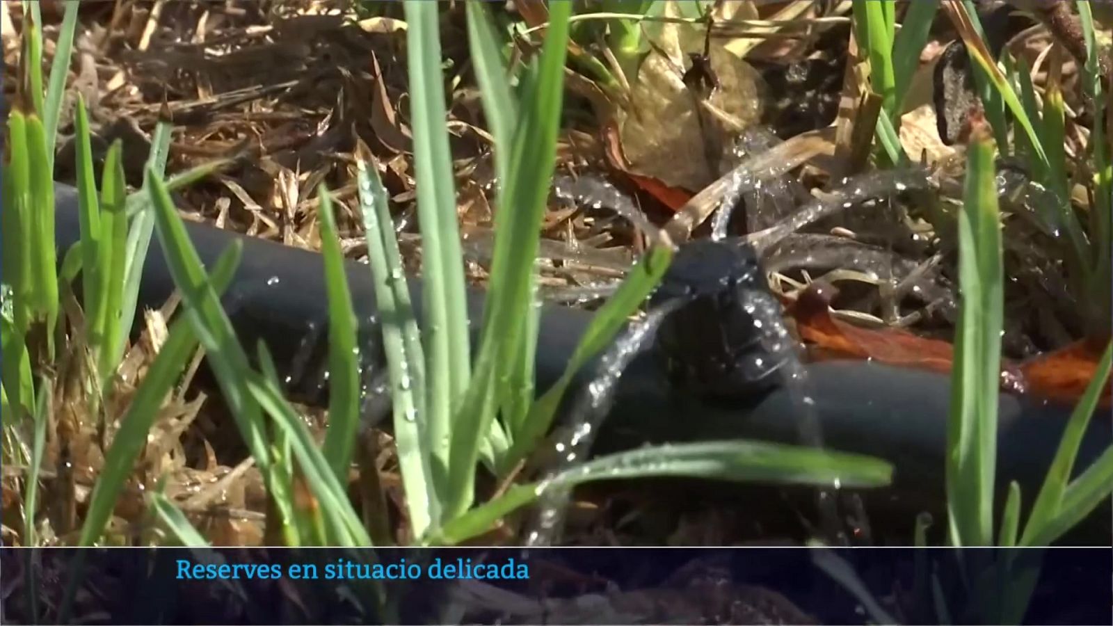 Reserves en situacio delicada