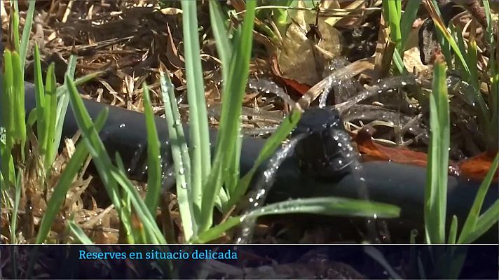 Informatiu Balear - Reserves d'aigua en situació delicada
