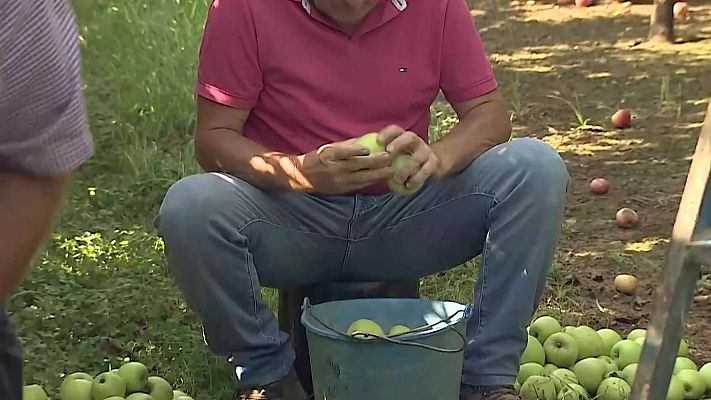 Noticias Aragón - Aragón es una de las comunidades de España con más daños en sus cultivos