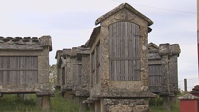 O patrimonio das agrupaci�ns de h�rreos de Avi�n, Ourense
