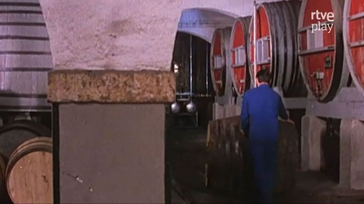 Protagonista el vino - Las catedrales del vino